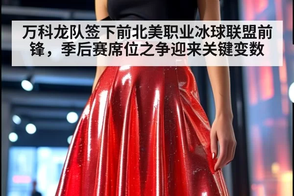 万科龙队签下前北美职业冰球联盟前锋，季后赛席位之争迎来关键变数